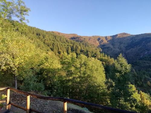 a view of a valley with trees and mountains at Rota d'Amont in Stroppo