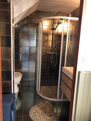 a bathroom with a shower and a toilet at Havre de paix et de verdure proche Walibi et A43 - 4 étoiles in Corbelin