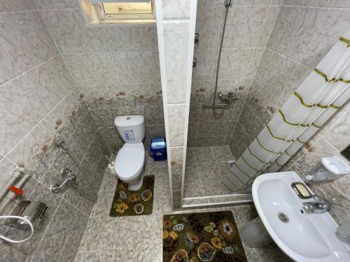 a small bathroom with a toilet and a sink at Guest House Eles in Karakol