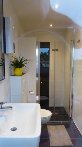 a bathroom with a shower and a toilet and a sink at Ferienwohnung Goldenitz in Warlitz