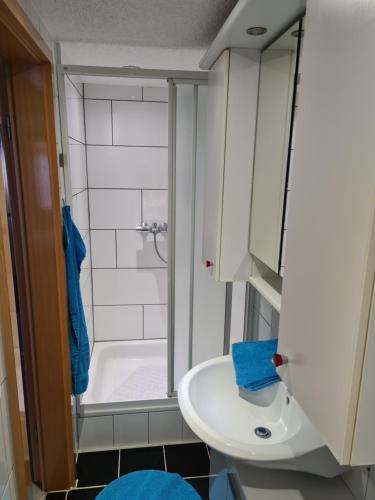 ein Badezimmer mit einem weißen Waschbecken und einer Dusche in der Unterkunft FeWo Iris in Alsfeld