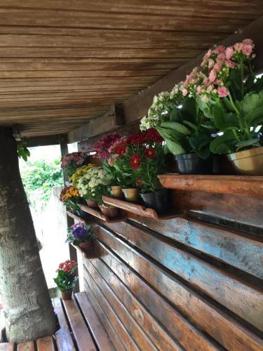 Gallery image of Hotel Pousada Guayporã in Guarapari