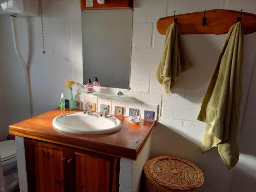 een badkamer met een wastafel en een spiegel bij Foot-loose & Fancy Free in St Helena Bay