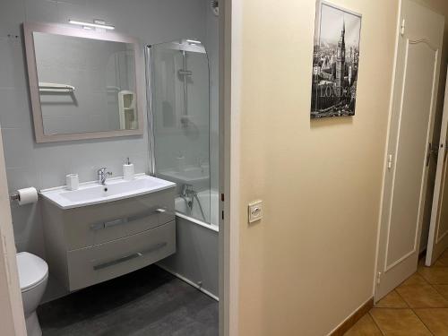 Koupelna v ubytování Spacieuse chambre privée 25m2 en colocation avec 4 autres personnes dans un appartement 94m2 à vaulx en velin centre