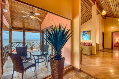 Gallery image of Hotel Palma Royale in Bocas Town