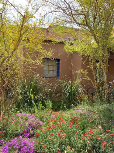 Aed väljaspool majutusasutust Ckoi Atacama Lodge
