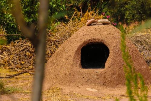 a bird sitting on top of a bird house at Upupa de l’Atlas in Marrakech
