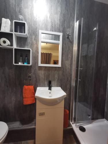 a bathroom with a sink and a shower at Dolweunydd Bed and Breakfast in Betws-y-coed