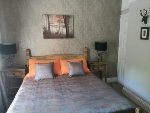 a bedroom with a bed with two tables and two lamps at Dolweunydd Bed and Breakfast in Betws-y-coed