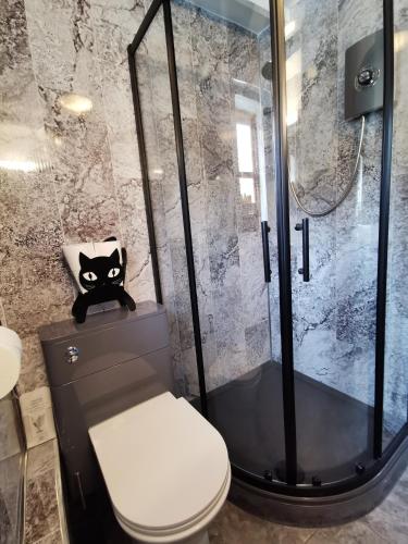 a bathroom with a toilet and a glass shower at Dolweunydd Bed and Breakfast in Betws-y-coed