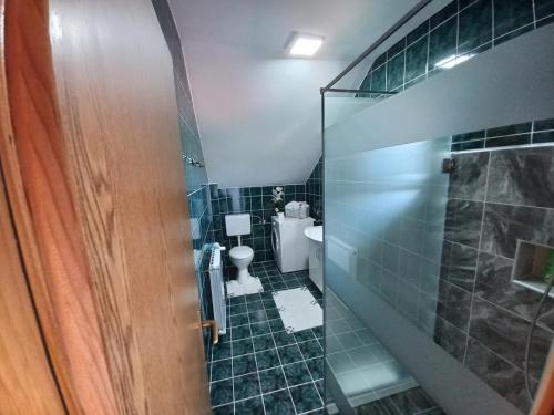 uma casa de banho com um WC e uma cabina de duche em vidro. em Apartmani Denis em Dubrave Gornje