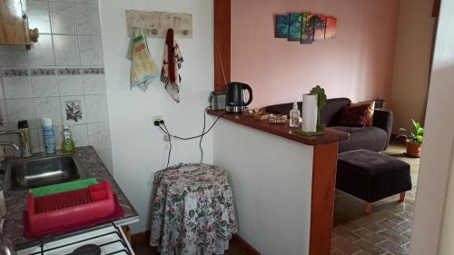 eine kleine Küche mit einer Spüle und einer Theke mit einer Spüle in der Unterkunft Departamento 2 ambientes 1er piso in Gualeguay