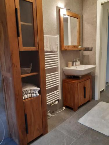 Apartmán U Mamuta في دولني مورافا: حمام مع حوض ومرآة