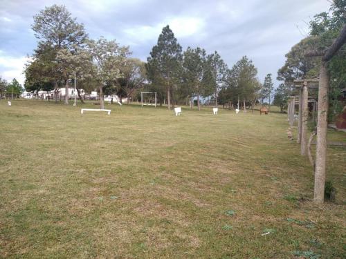 a field with white sheep in a field with trees at Estancia turistica la Providencia in Termas del Daymán