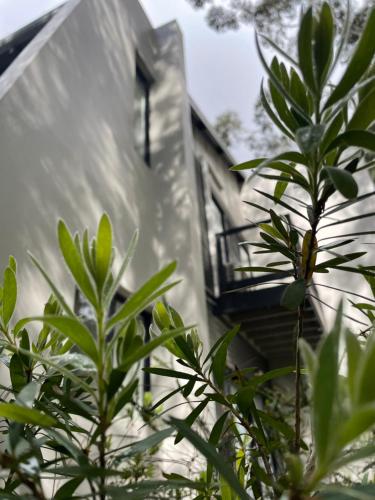 un bâtiment avec un balcon à côté de certaines plantes dans l'établissement MARGARET FOREST RETREAT Apartment 129 - Located within Margaret Forest, in the heart of the town centre of Margaret River, spa apartment!, à Margaret River Town