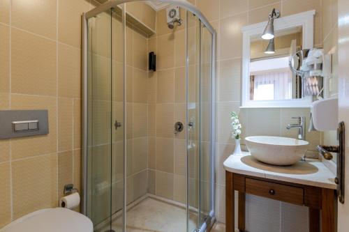 a bathroom with a shower and a sink and a toilet at Agora Guesthouse in Istanbul