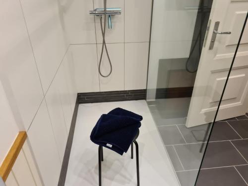 Koupelna v ubytování Ferienwohnung Watzek