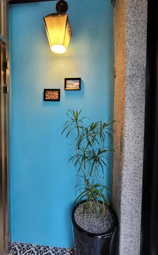 a plant in a pot next to a blue wall at Xi Yin Zhi Su in Pingxi