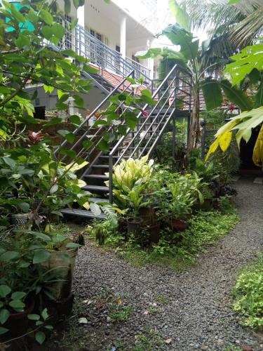 a staircase in the middle of a garden with plants at Coconut Grove in Cochin