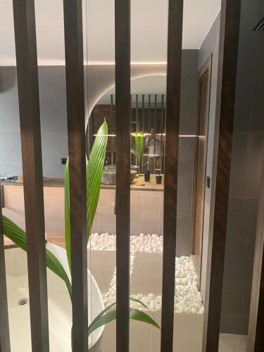 a glass door with a plant in a room at Botavara Madrid con Parking incluido in Madrid