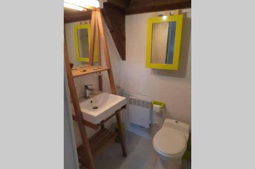 a bathroom with a toilet and a sink and a mirror at GITE, MAISON A LA CAMPAGNE ARDENNES, AISNE,MARNE in Le Thour