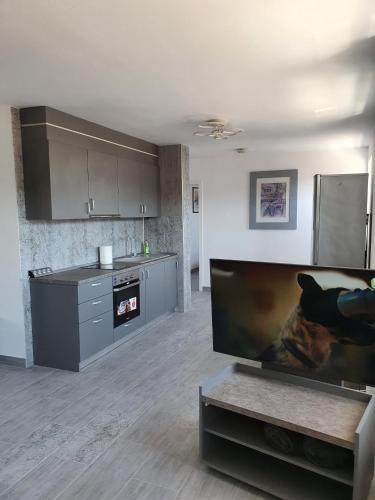 Kuchyň nebo kuchyňský kout v ubytování Casa Musceleana