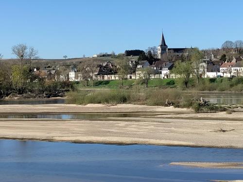 Blick auf einen Fluss mit einer Stadt im Hintergrund in der Unterkunft Chambre d hôtes - La Maison 1882 in Pouilly-sur-Loire