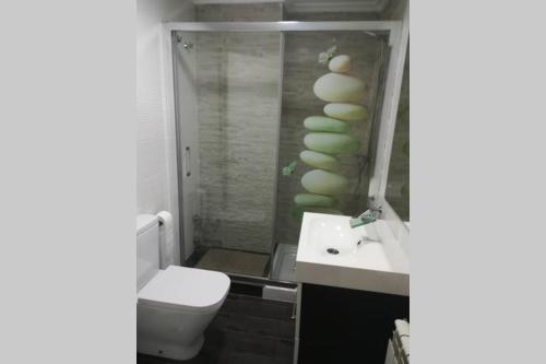 a bathroom with a toilet and a sink and a shower at Apartamento en ribeira sacra. Chantada in Chantada