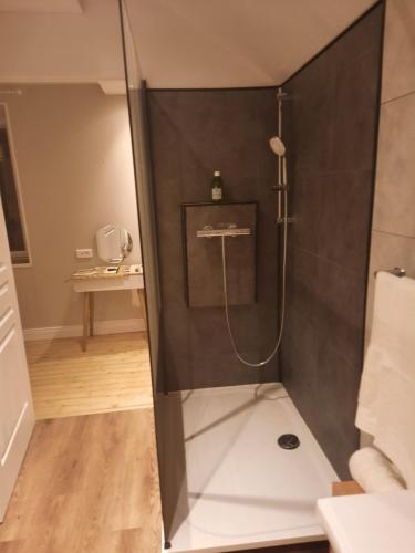 a shower with a glass door in a bathroom at Chambre d'hôtes LE PUITS DARCY in Montceau-les-Mines