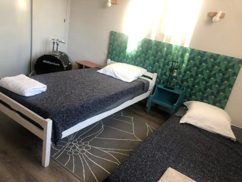 een slaapkamer met 2 bedden en een groen hoofdeinde bij Condrieu appartement 1er in Condrieu