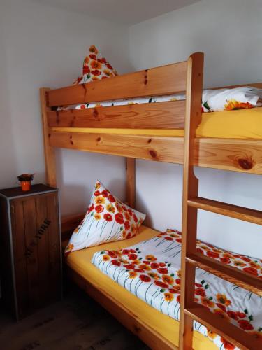 a bedroom with two bunk beds and a ladder at Ferienwohnung Lieblingsort im Zentrum Winterbergs in Winterberg