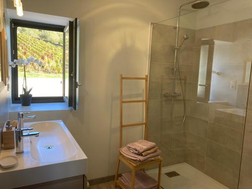 een badkamer met een wastafel en een douche bij Clos de belle roche in Saint-Romain