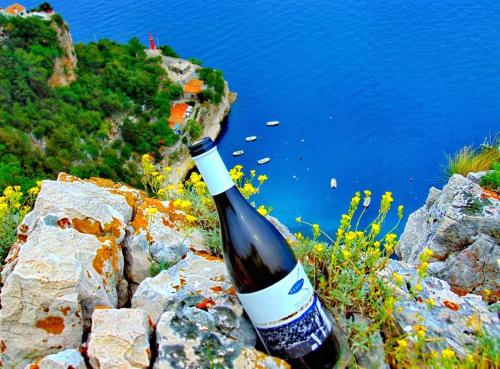 a bottle of wine sitting on a rock near the water at Studio-Apartman-Diana in Brseč