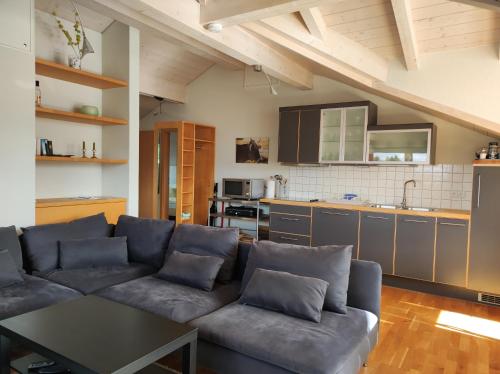 松托芬的住宿－Widderstein Sonthofen，带沙发的客厅和厨房
