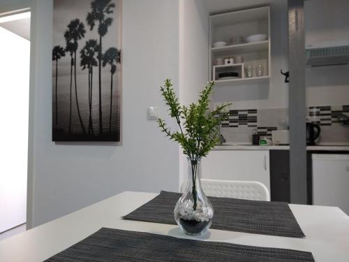 Central Estudio Torremolinos - Estudio 2