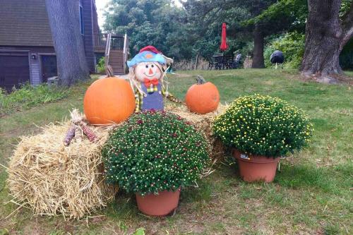 a scarecrow sitting on hay next to pumpkins and plants at Newly Renovated Carriage House Near Town & Beaches in Madison