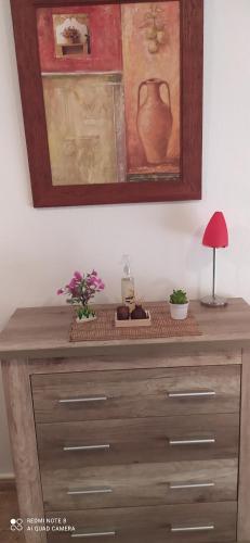Fotografia z galérie ubytovania estudio wifi baño 1 sofá cama doble piscina playa 100mts v destinácii Torrevieja