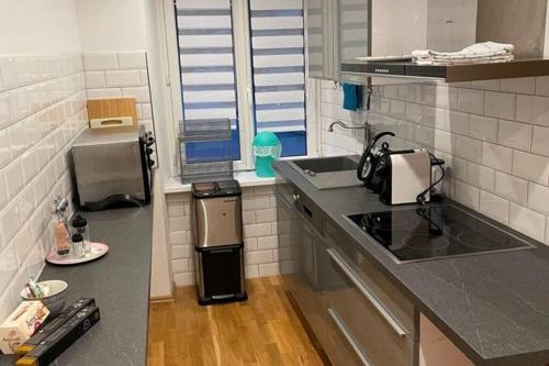 a kitchen with a sink and a counter top at 76 m² Ferienwohnung 2 Schlafzimmer, max. 7 Gäste in Kennelbach