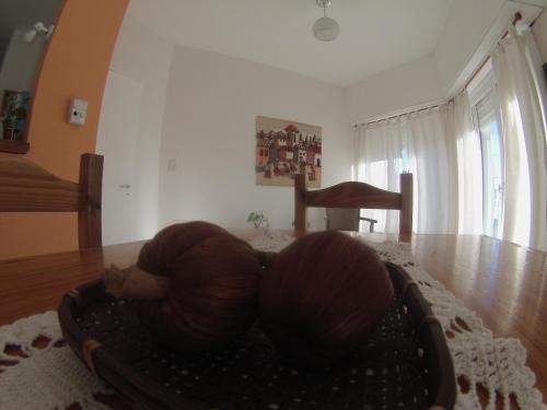 Nani Departamentos – Photos 3