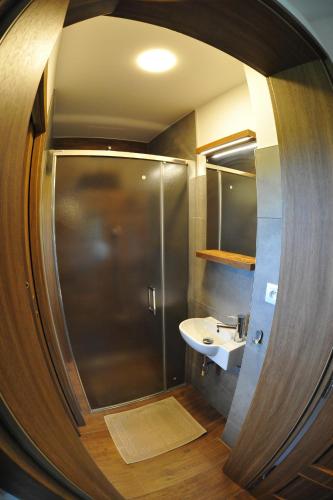 a bathroom with a shower and a sink at Apartmány U Fibichů in Orlické Záhoří 