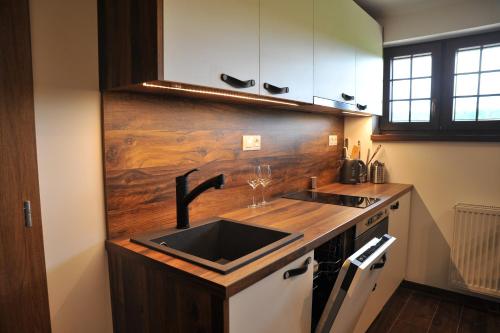 a kitchen with a sink and a wooden wall at Apartmány U Fibichů in Orlické Záhoří 