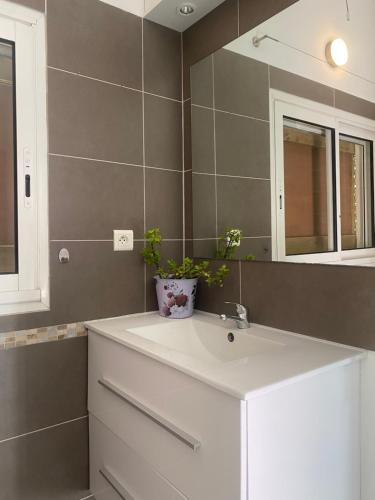 uma casa de banho com um lavatório branco e um espelho. em NOUT TI KAZ lé bains em Étang-Salé les Bains