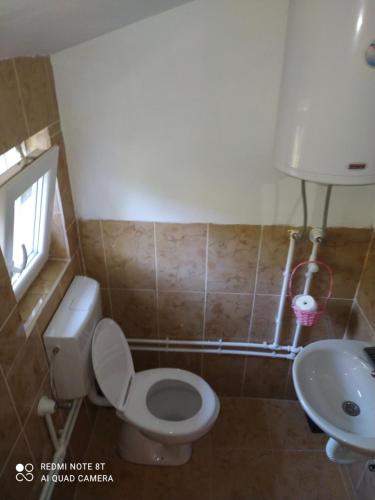 a bathroom with a toilet and a sink at Domaćinstvo Radivojević in Kraljevo