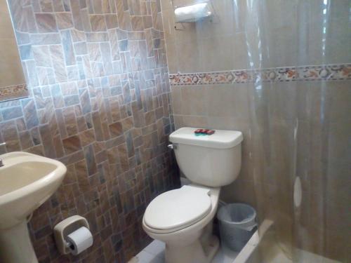 a bathroom with a toilet and a sink and a shower at Casa de Huespedes Villa Hermosa in La Vega