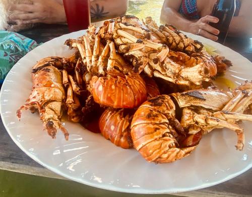 a plate of lobsters and other seafood on a table at Hotel La Casa Rosada in Lívingston