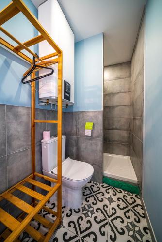 une salle de bain avec toilettes et douche dans l'établissement le Chartreuse / Rent4night Grenoble, à Grenoble