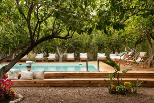 a swimming pool with a bench next to a tree at Gayb-i Bungalows by Naturelife - Free Access to Beach & Naturelife Spa in Cıralı