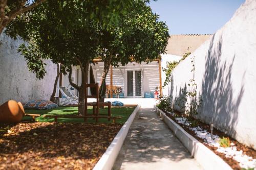 a garden with a tree and a sidewalk at Papoila in Grândola