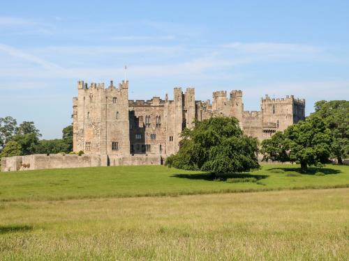 a castle on a field with trees in the foreground at Otters Holt in Darlington