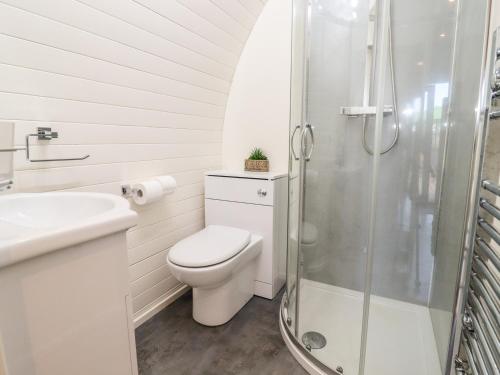 a white bathroom with a toilet and a shower at Gander Pod in Worcester